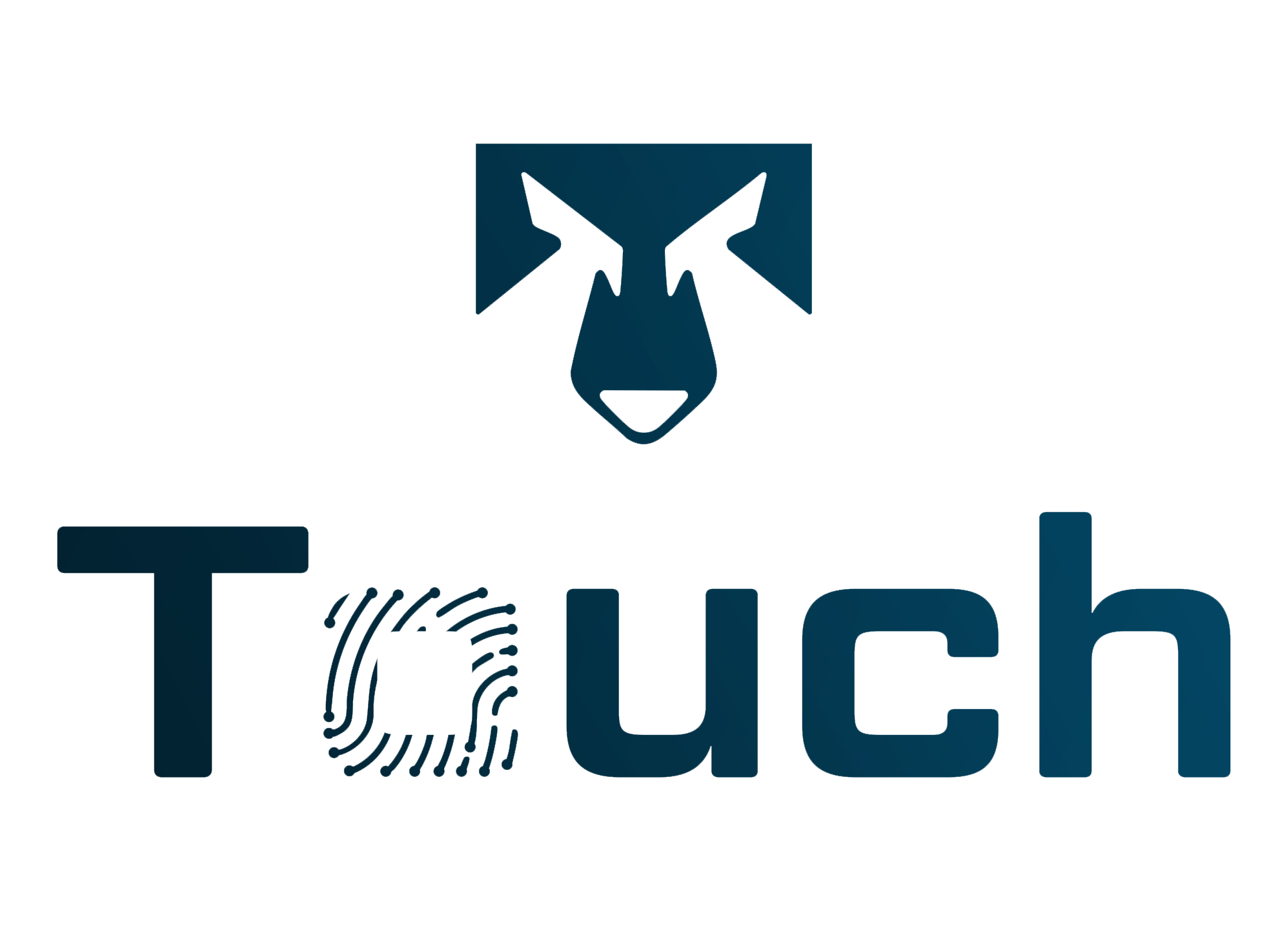 Touch